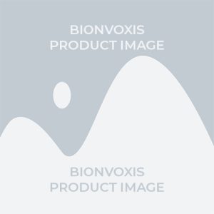 Fusion RT-PCR Master Mix