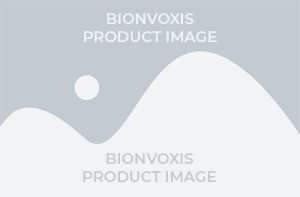 Fusion PCR Master Mix